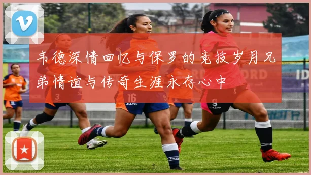 韦德深情回忆与保罗的竞技岁月兄弟情谊与传奇生涯永存心中