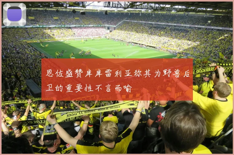 恩佐盛赞库库雷利亚称其为野兽后卫的重要性不言而喻