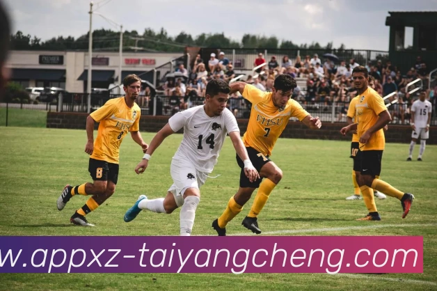 太阳城平台生态图