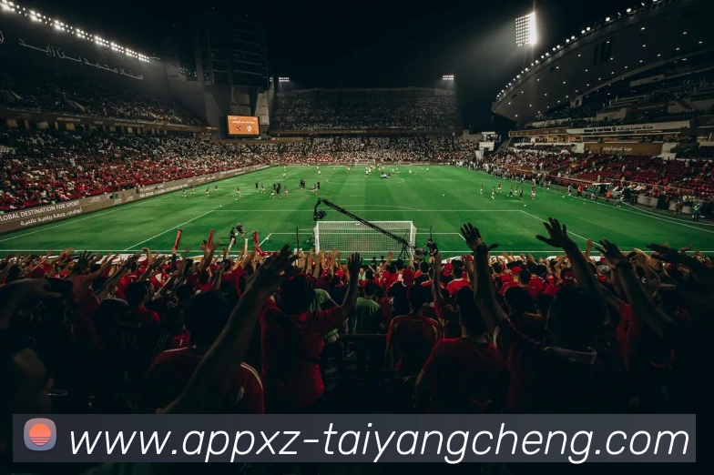 太阳城APP 封面图